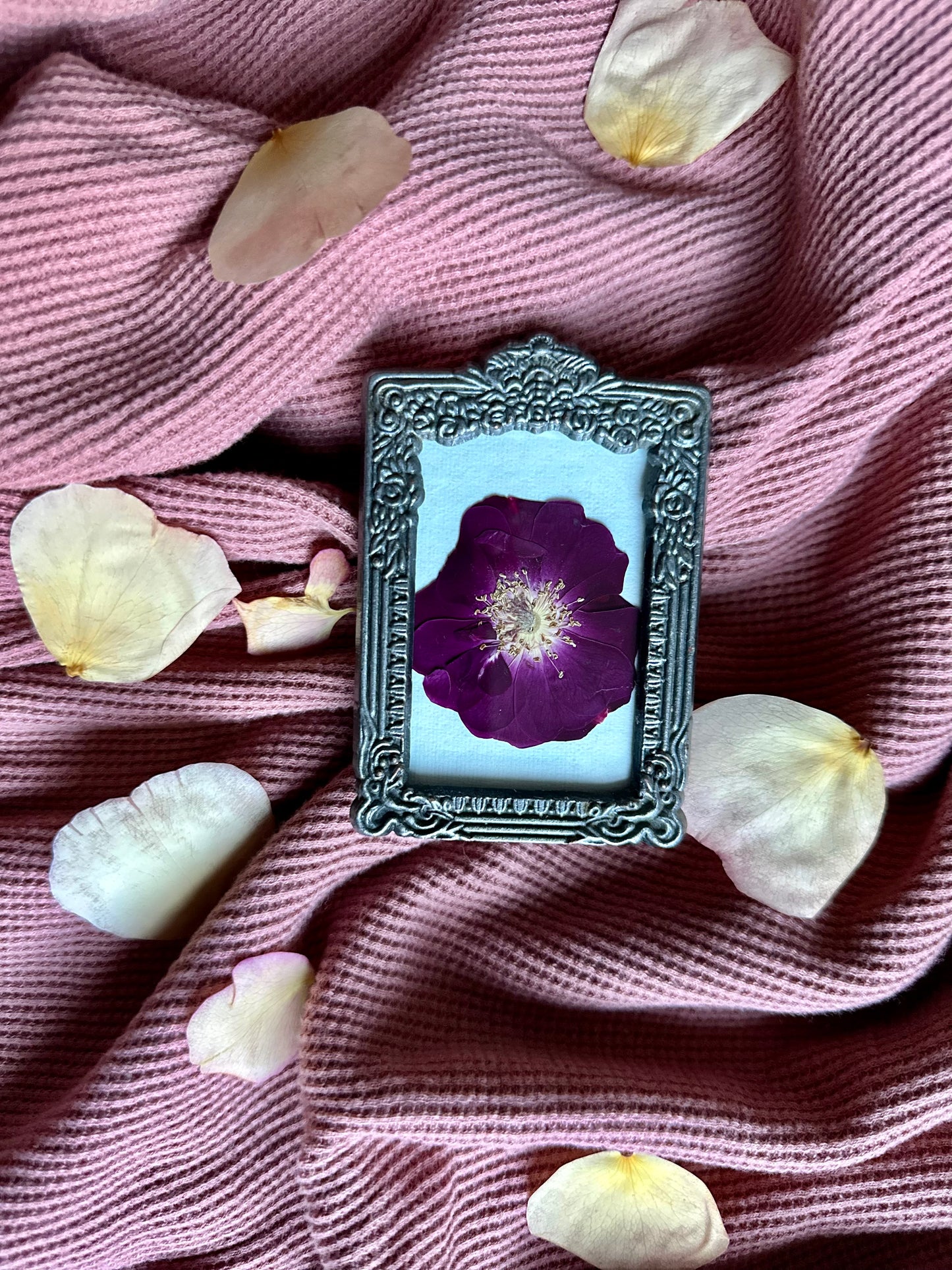 Mini Vintage Frame