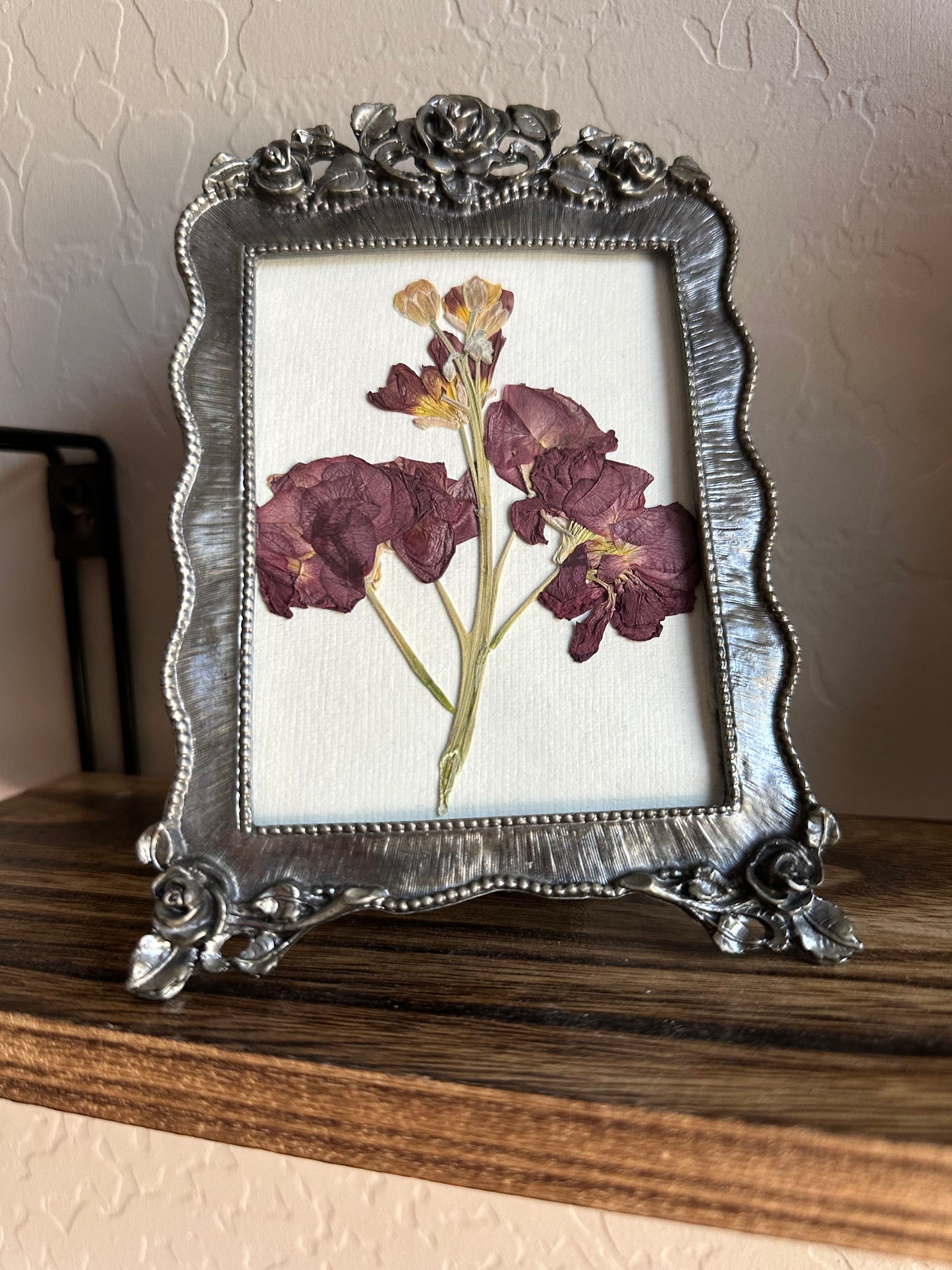 Vintage matthiola