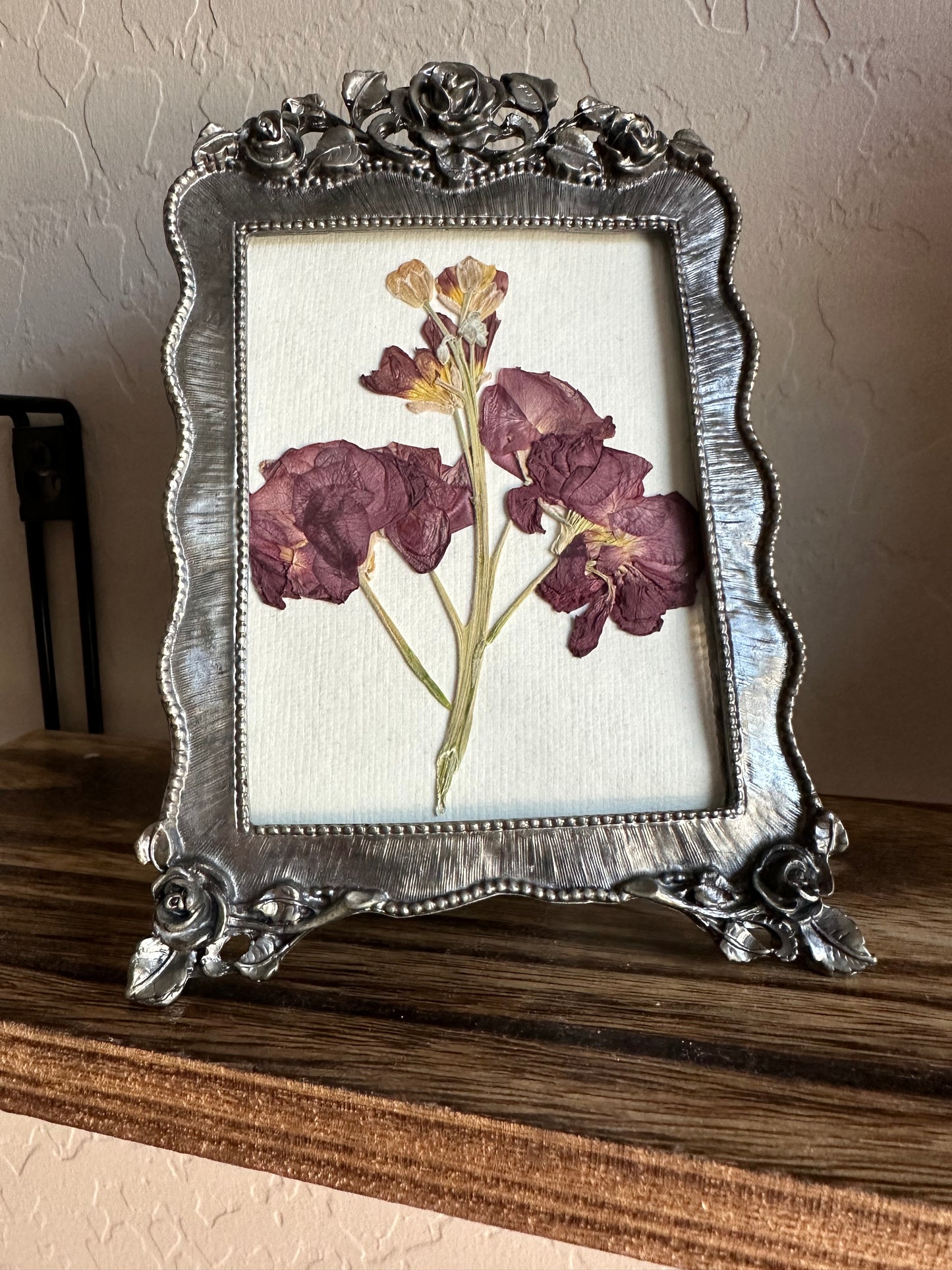 Vintage matthiola