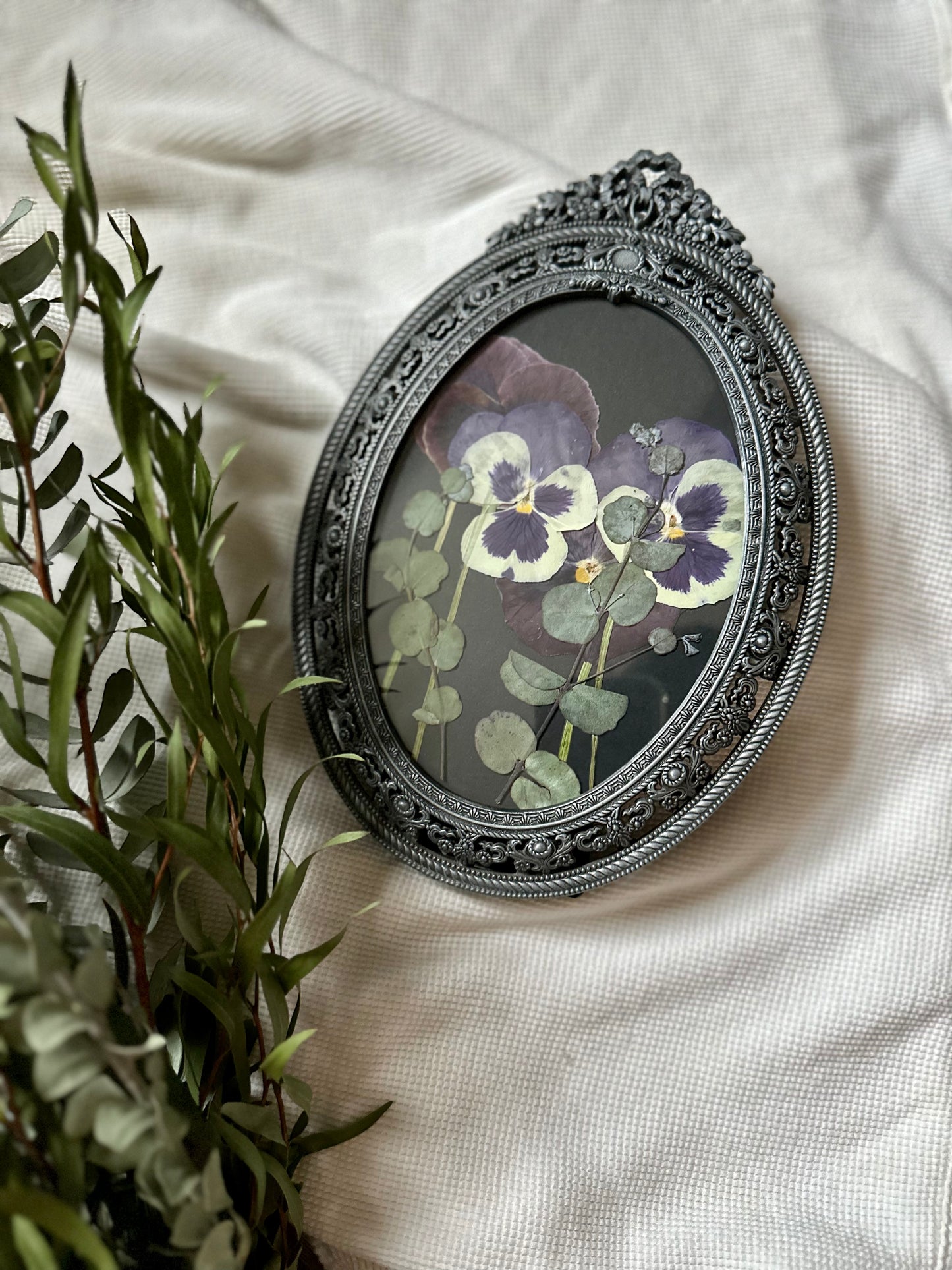 Victorian Viola