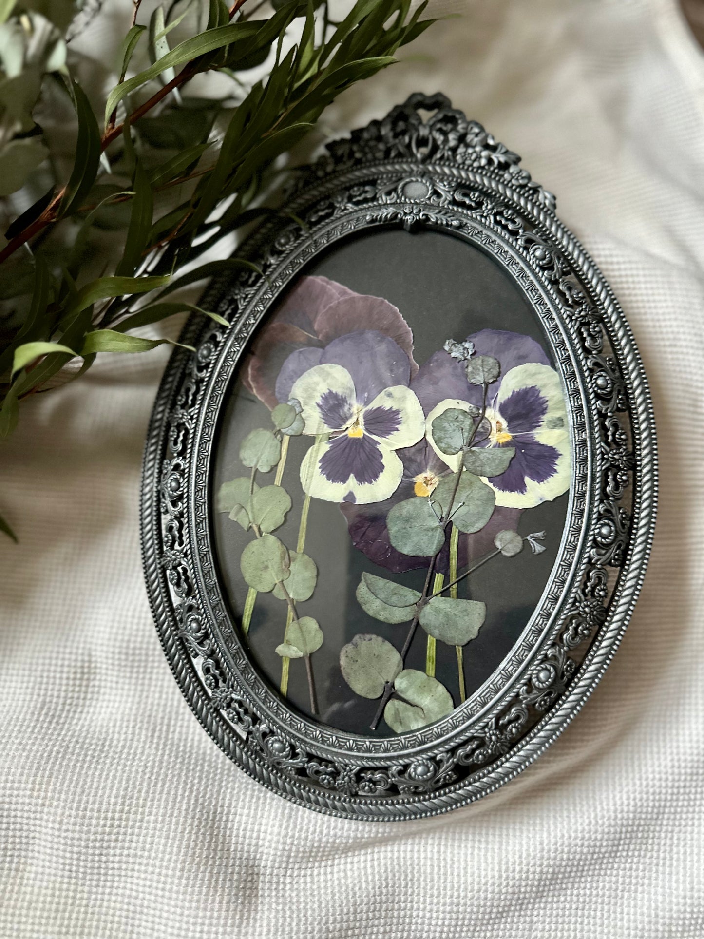 Victorian Viola