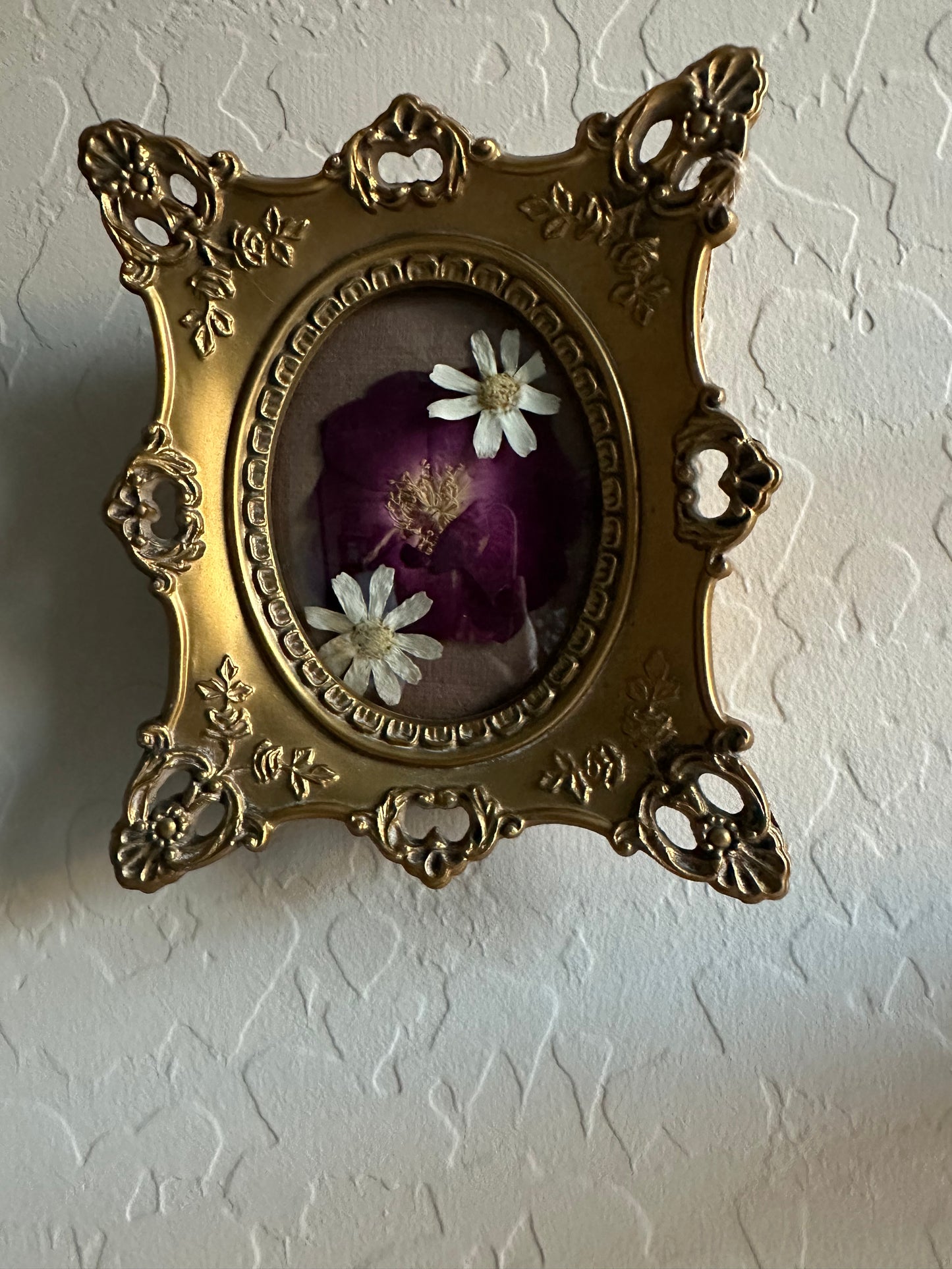 Rose & Daisy