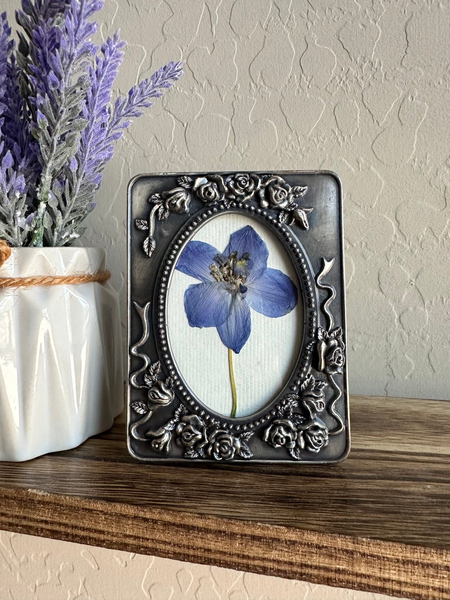 Delphinium