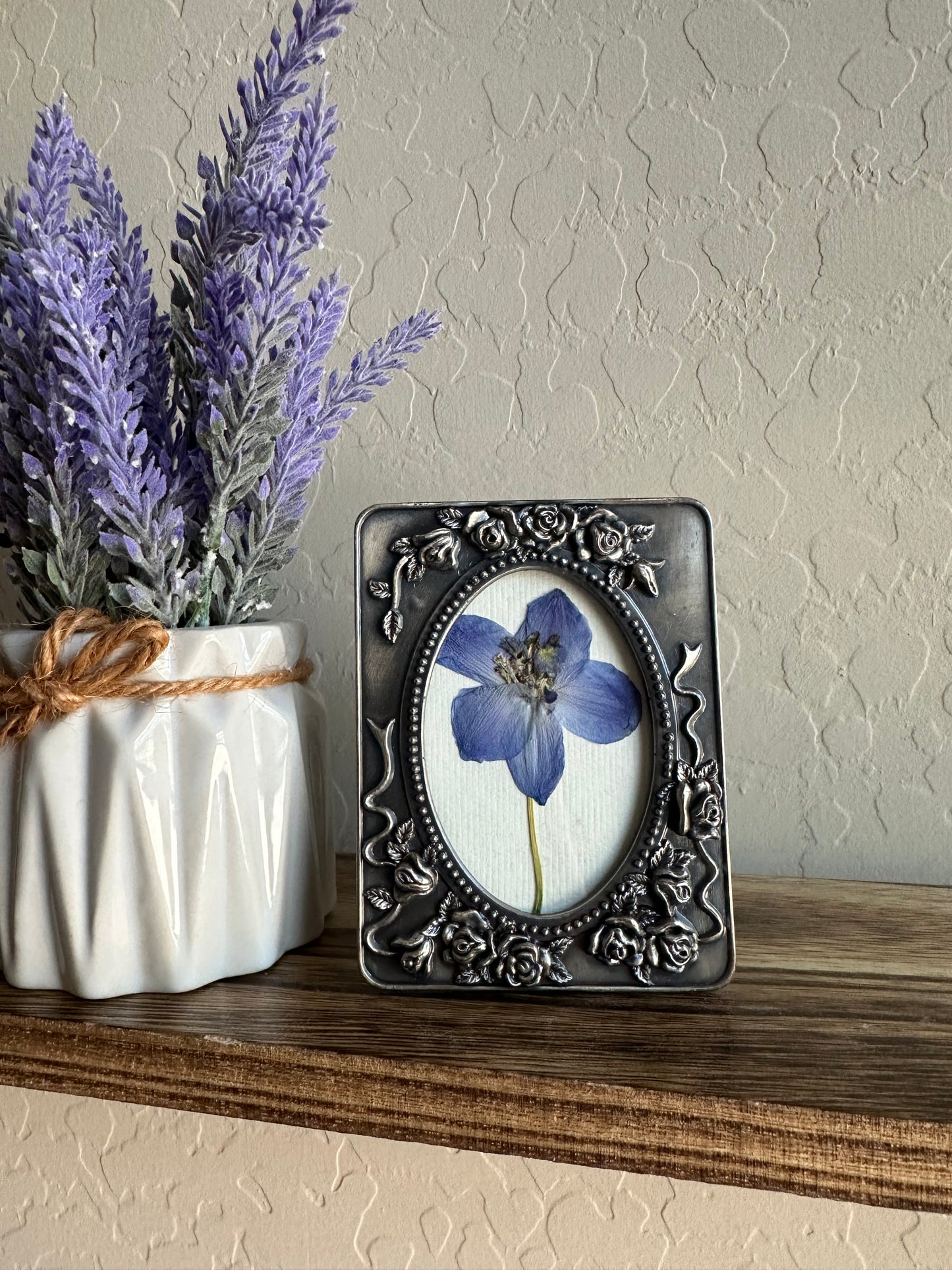 Delphinium