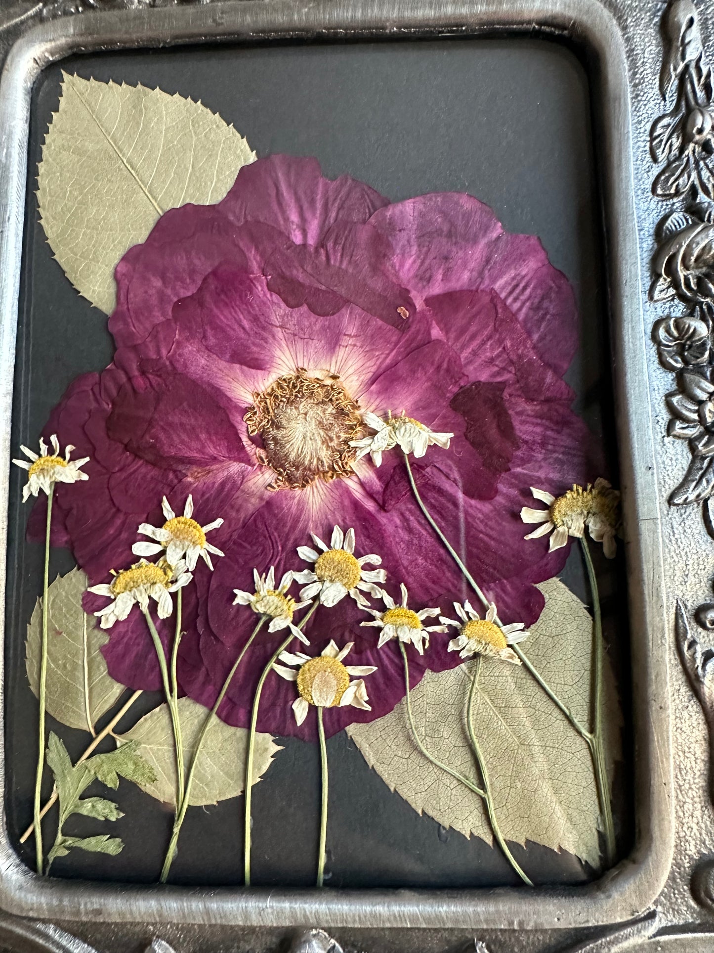Chamomile rose garden